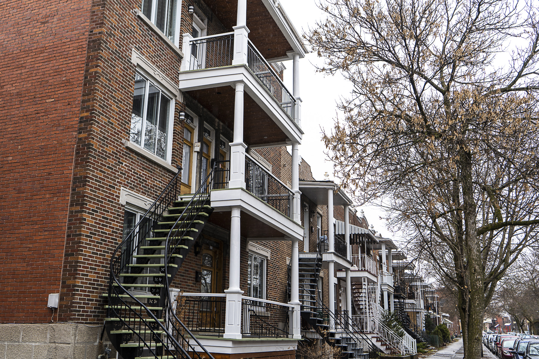 locataires logement