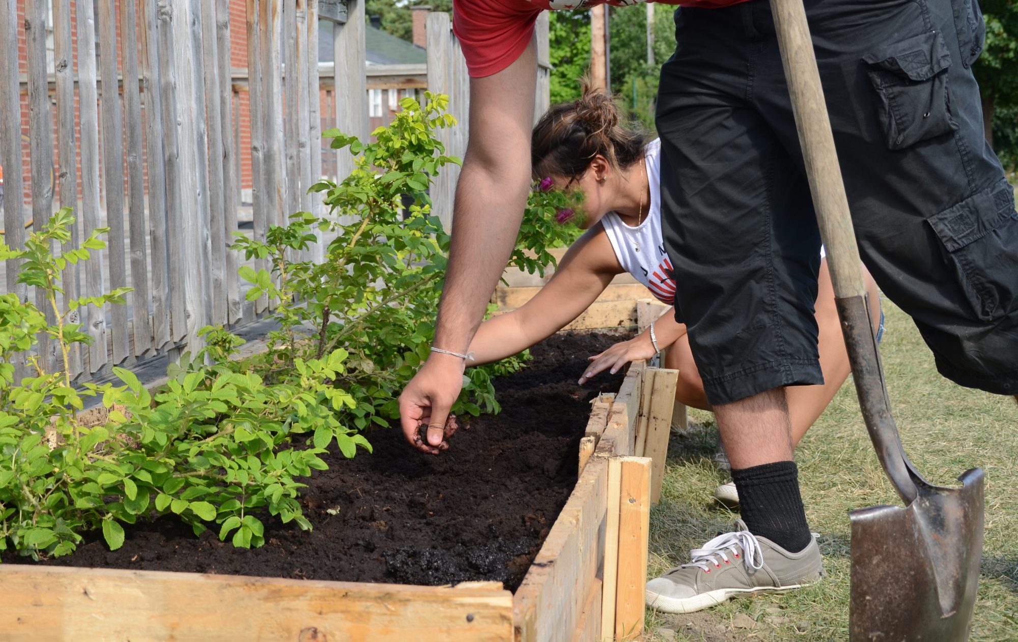 La coop de service assure des travaux de jardinage