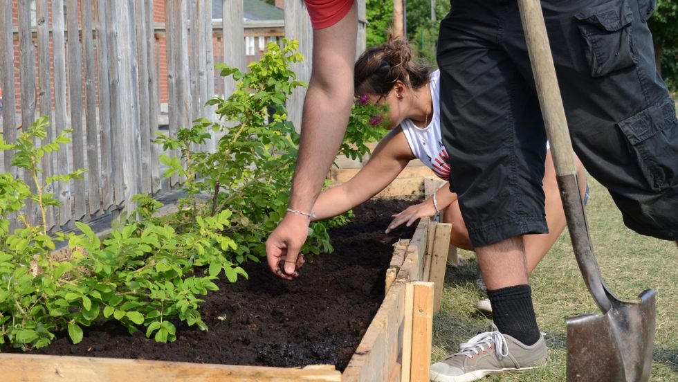 La coop de service assure des travaux de jardinage