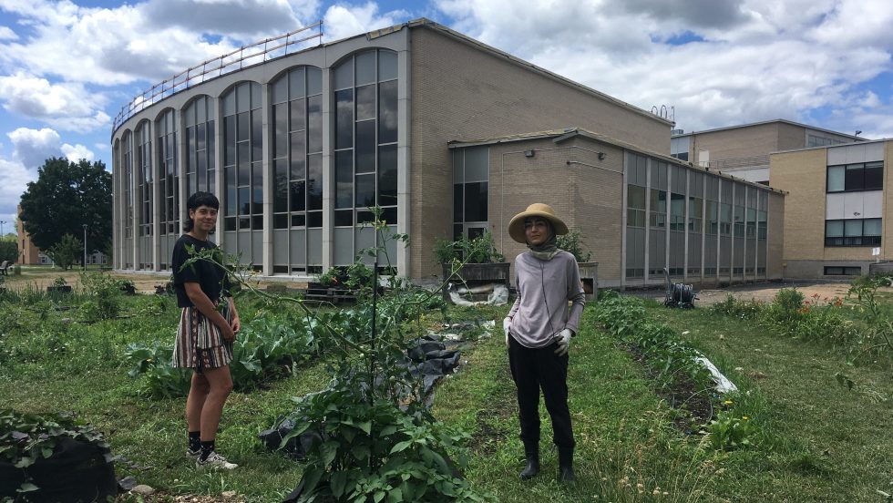 Chloé St-Laurent et Zaynab Mortada s’occupent du maraîchage cet été.
