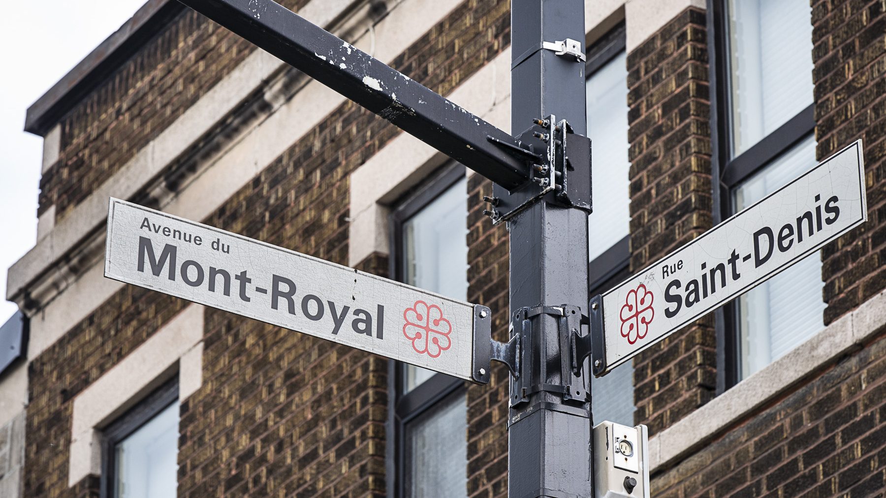 Panneaux montrant les noms de la rue Saint-Denis et de l’avenue du Mont-Royal, dans l’arrondissement du Plateau-Mont-Royal.