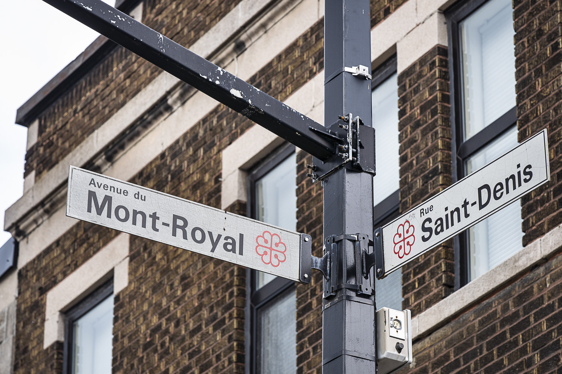 Panneaux montrant les noms de la rue Saint-Denis et de l’avenue du Mont-Royal, dans l’arrondissement du Plateau-Mont-Royal.