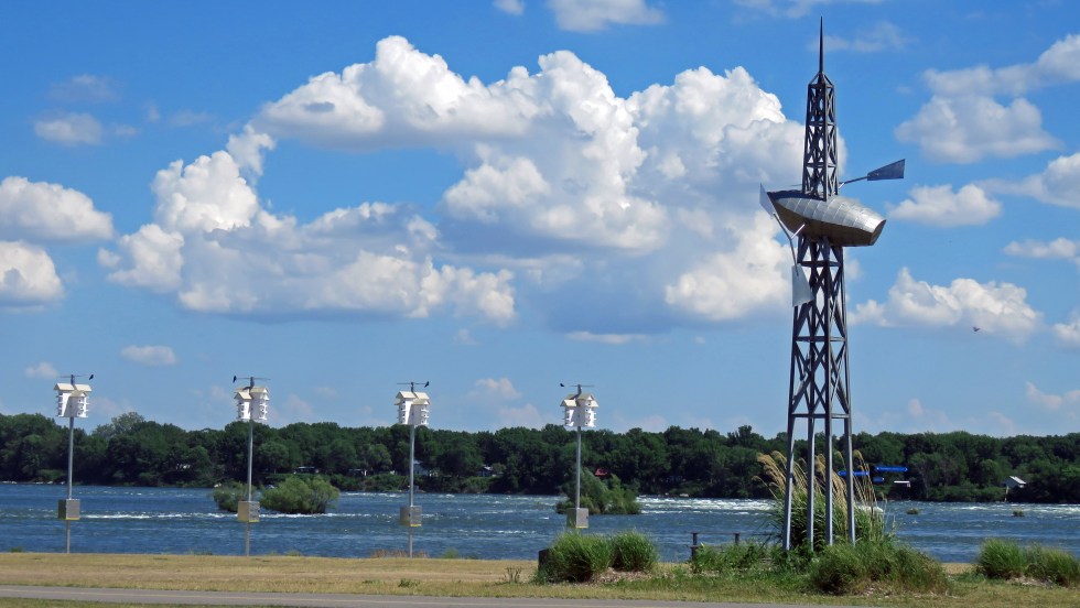 Les nichoirs installés près du fleuve sont appelés à jouer un rôle important dans la protection de l’hirondelle noire.