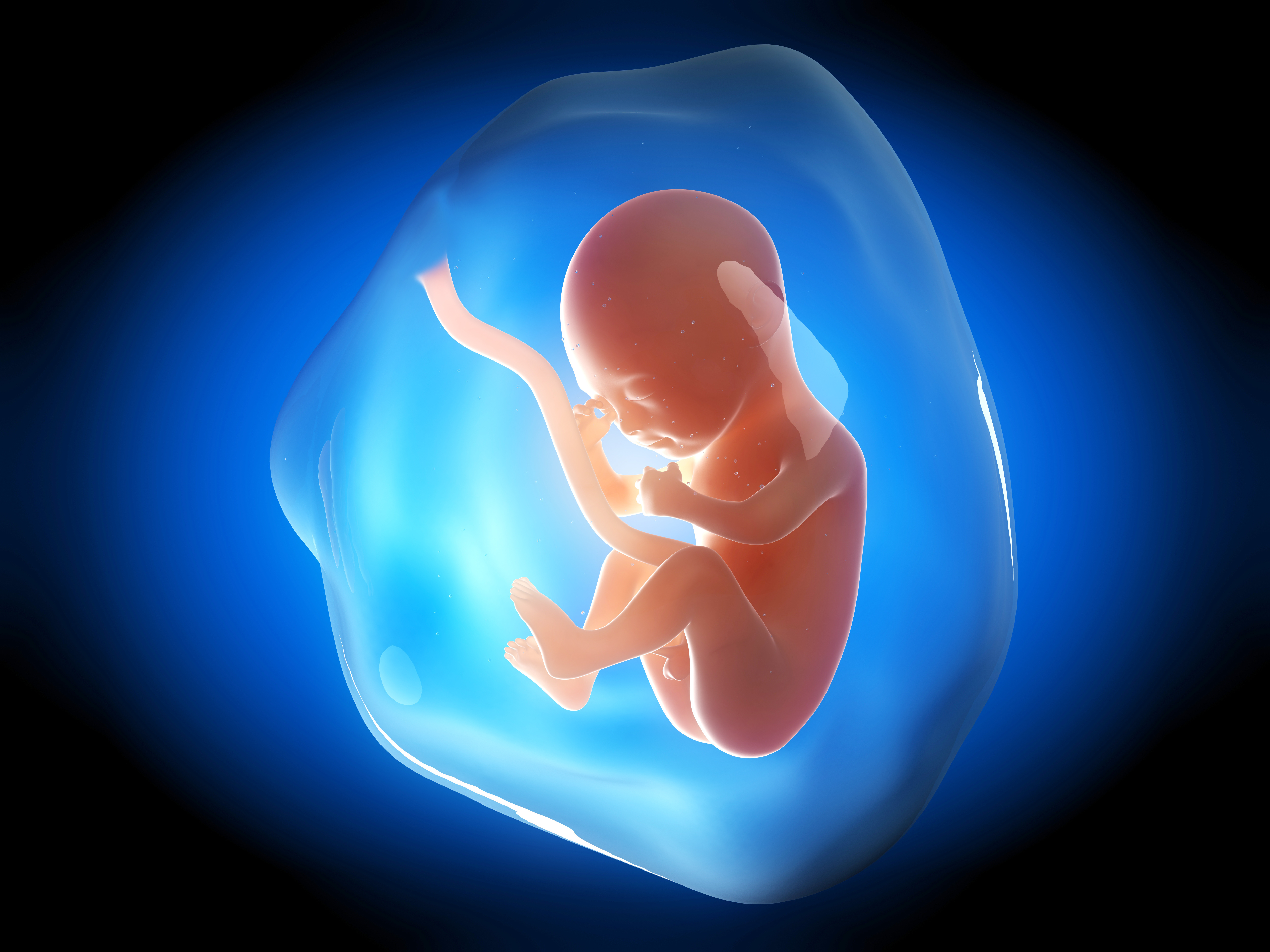 Околоплодные воды 5. Малыш в утробе матери. Ребенок в околоплодных Водах. Шестнадцатая неделя беременности. Плод на 16 неделе беременности.
