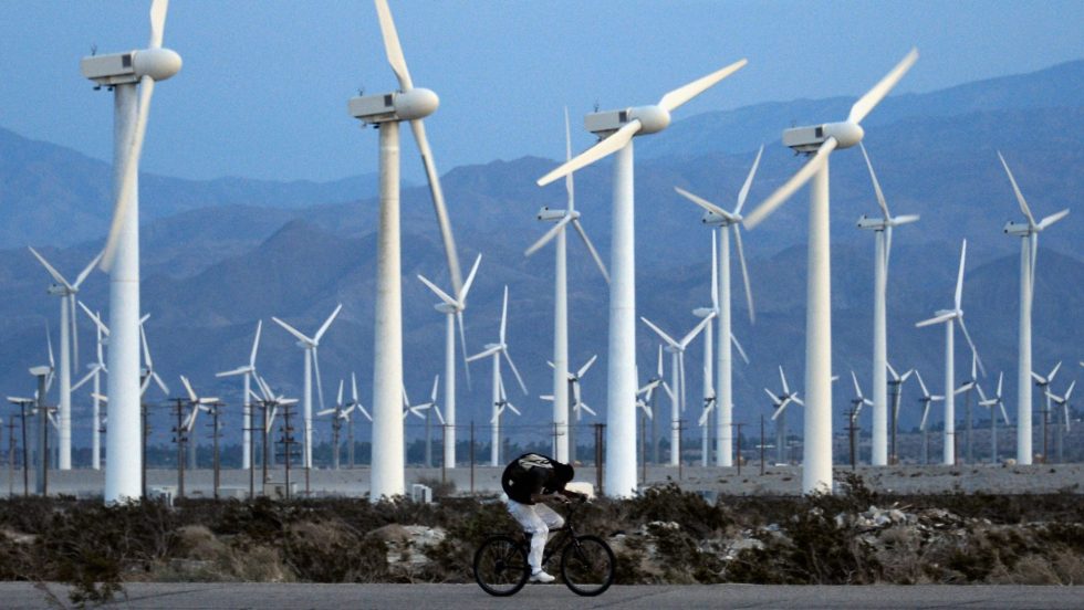 Un cycliste passe devant un champ d'éoliennes géantes en Californie, symbole de la croissance économique verte