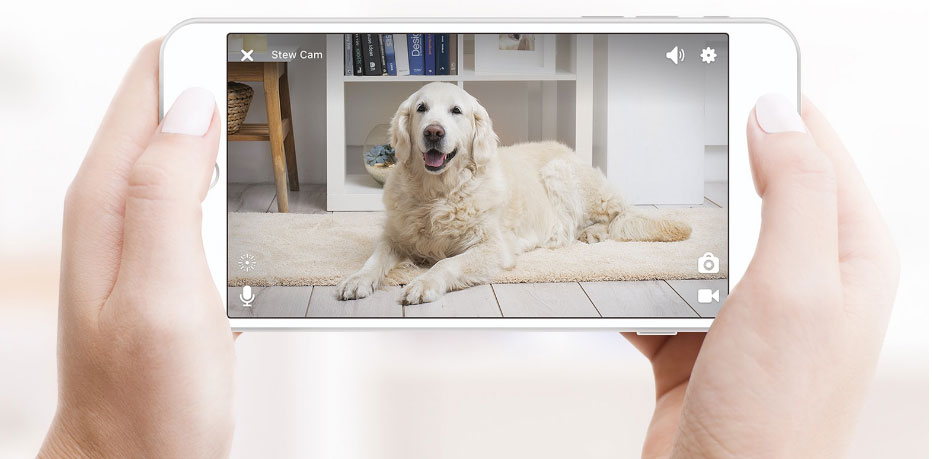 Petcube t&eacute;l&eacute;phone