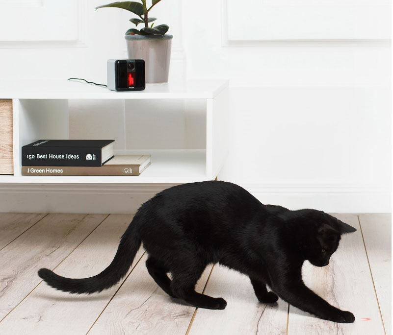 Petcube dans le d&eacute;cor