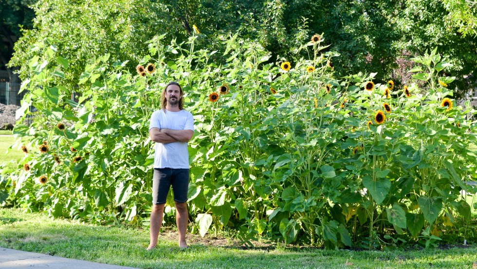 Sean Cronin devant son jardin de tournesols et d’asclépiades.