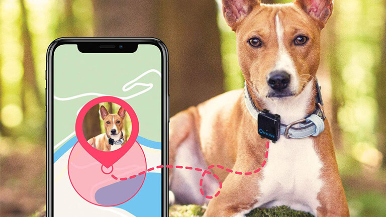 tractive gadget suivi gps animal compagnie
