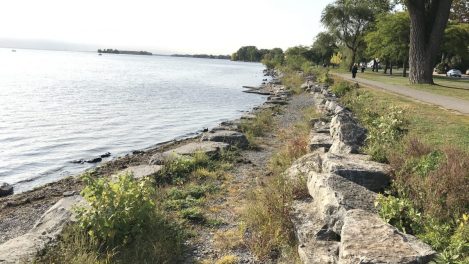 Protéger les berges à Lachine