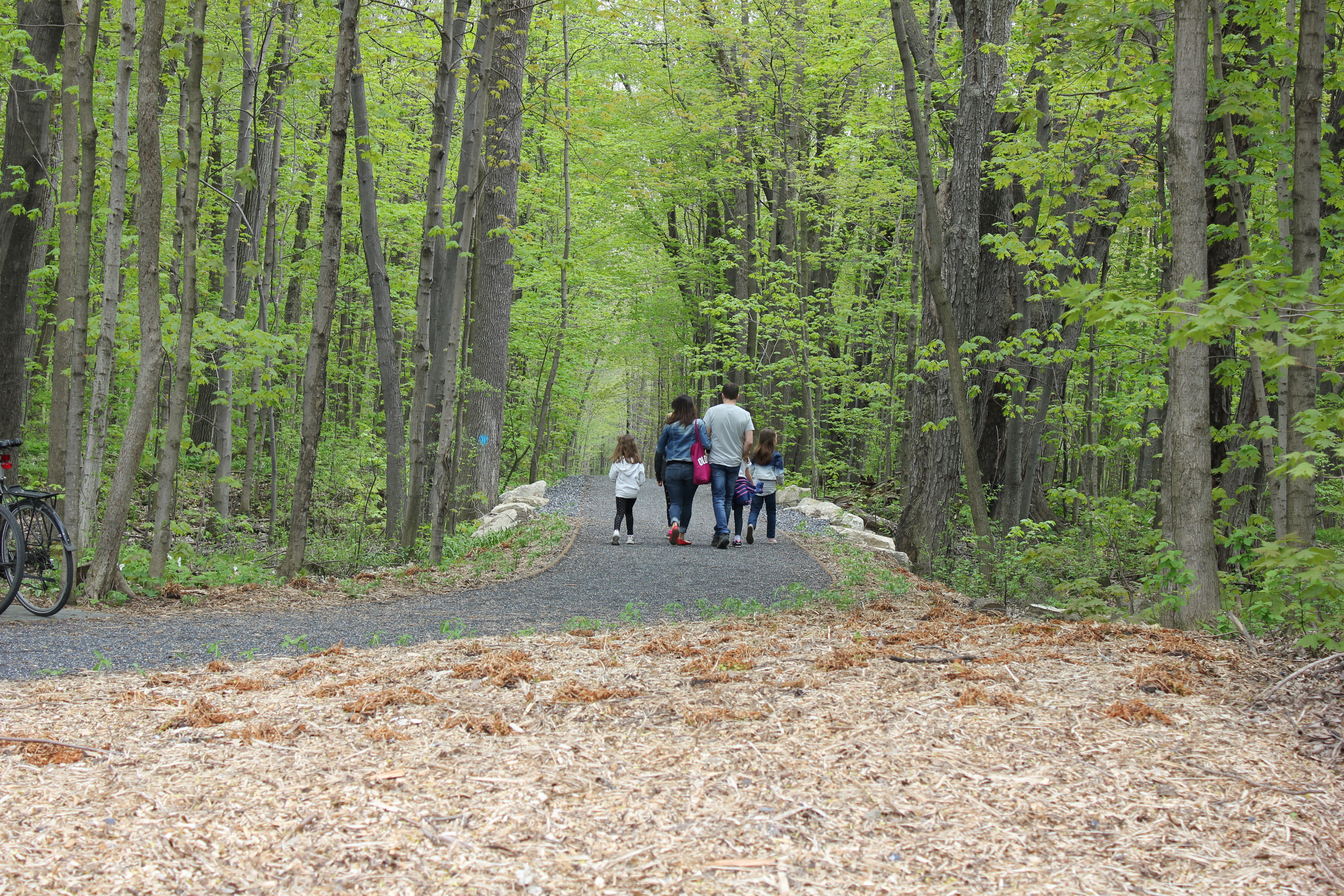 Bois-de-Saraguay sentier