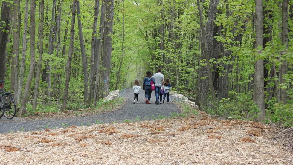 Bois-de-Saraguay sentier
