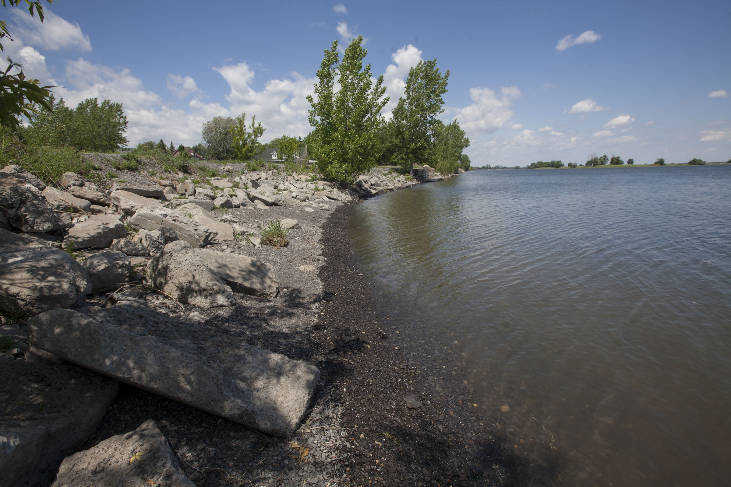 Alliance environnementale