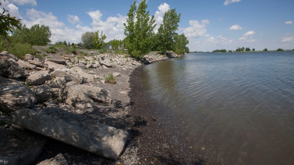 Alliance environnementale