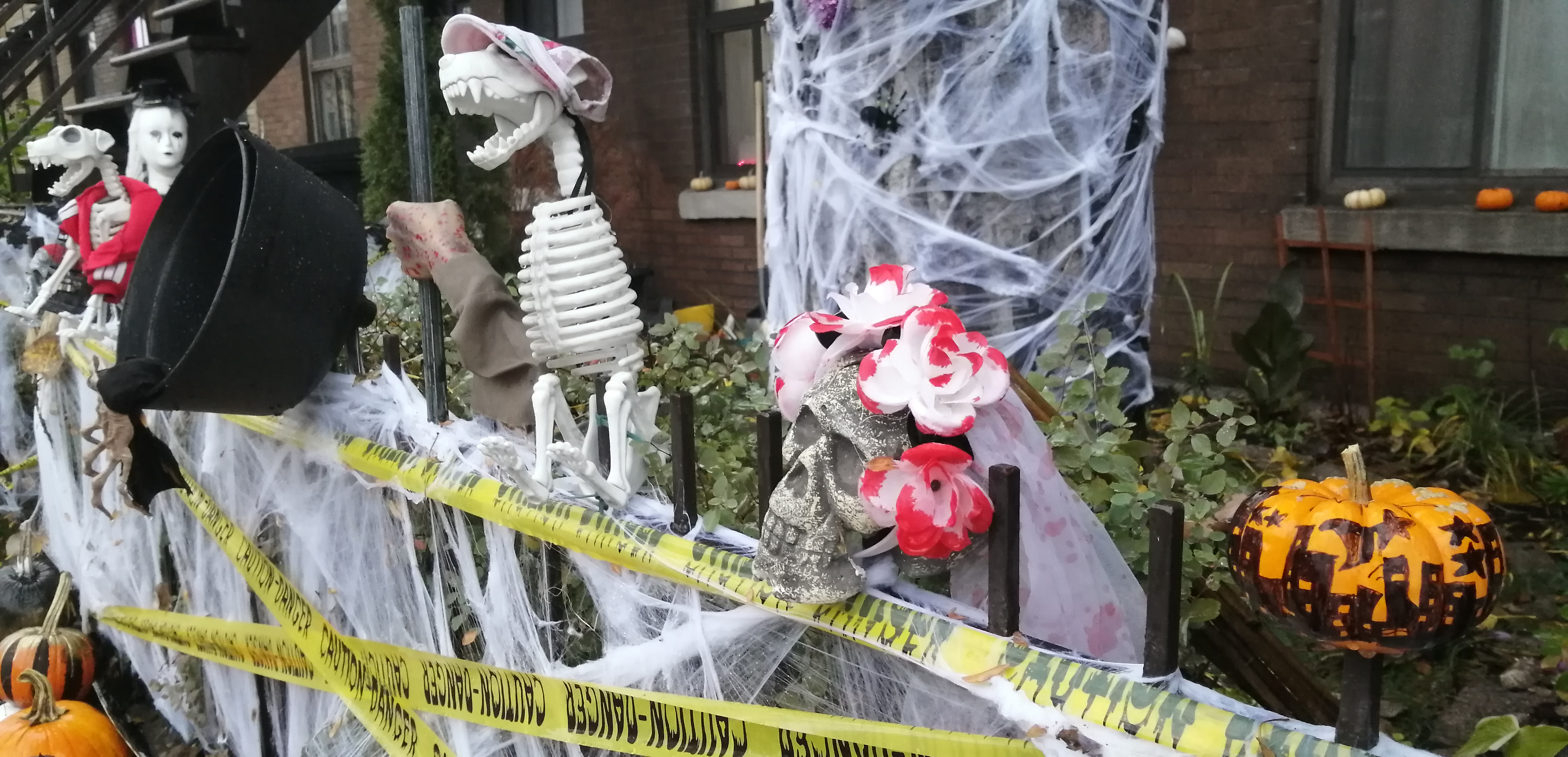 halloween Plateau-Mont-Royal