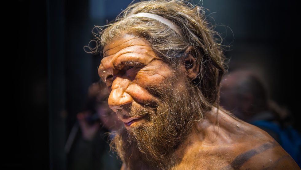 L’héritage du Néandertalien