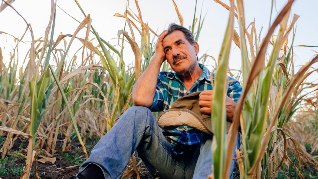 Il existe peu de ressources en santé mentale pour aider les agriculteurs en détresse.