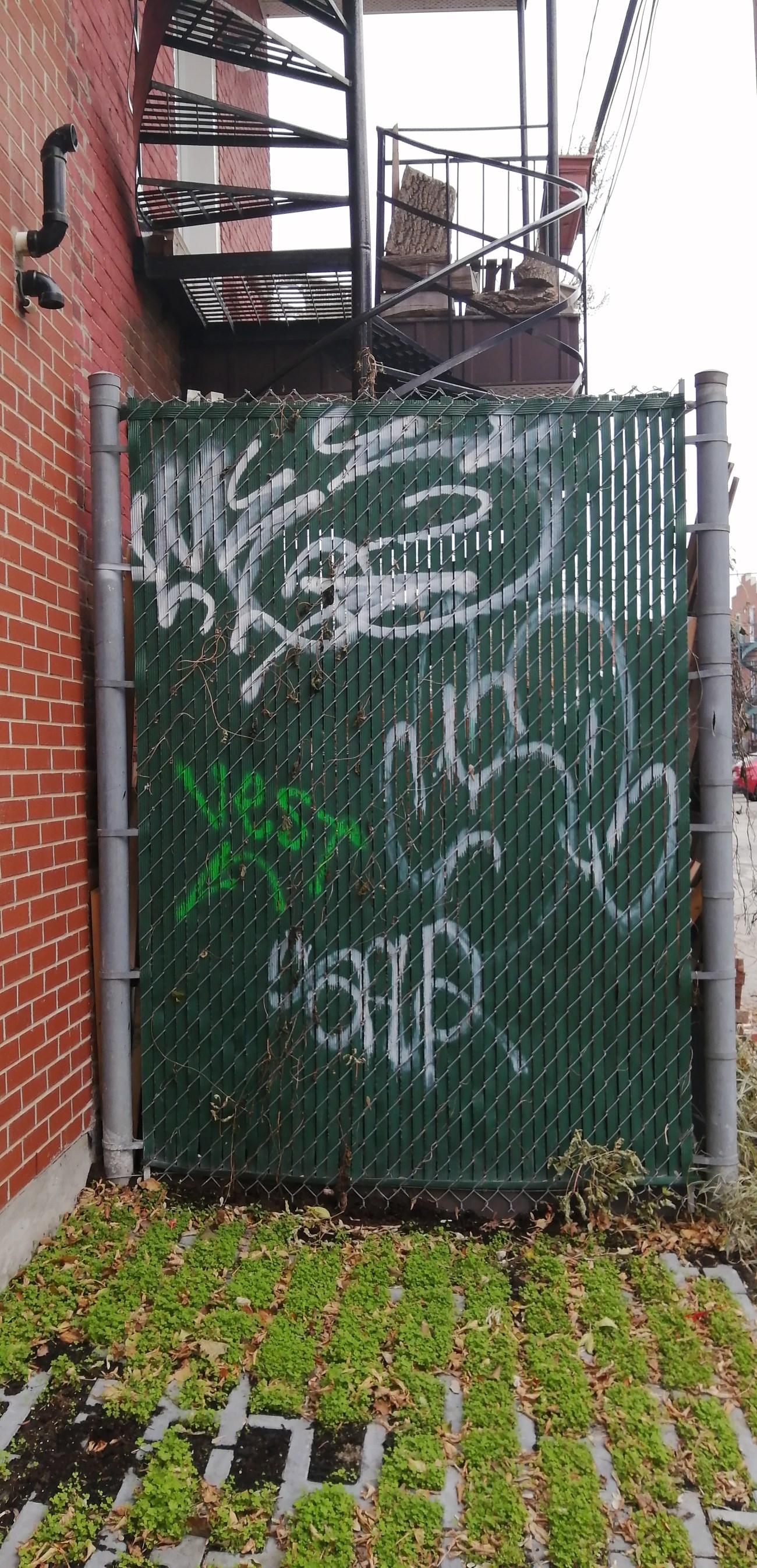 Graffitis sur le Plateau-Mont-Royal