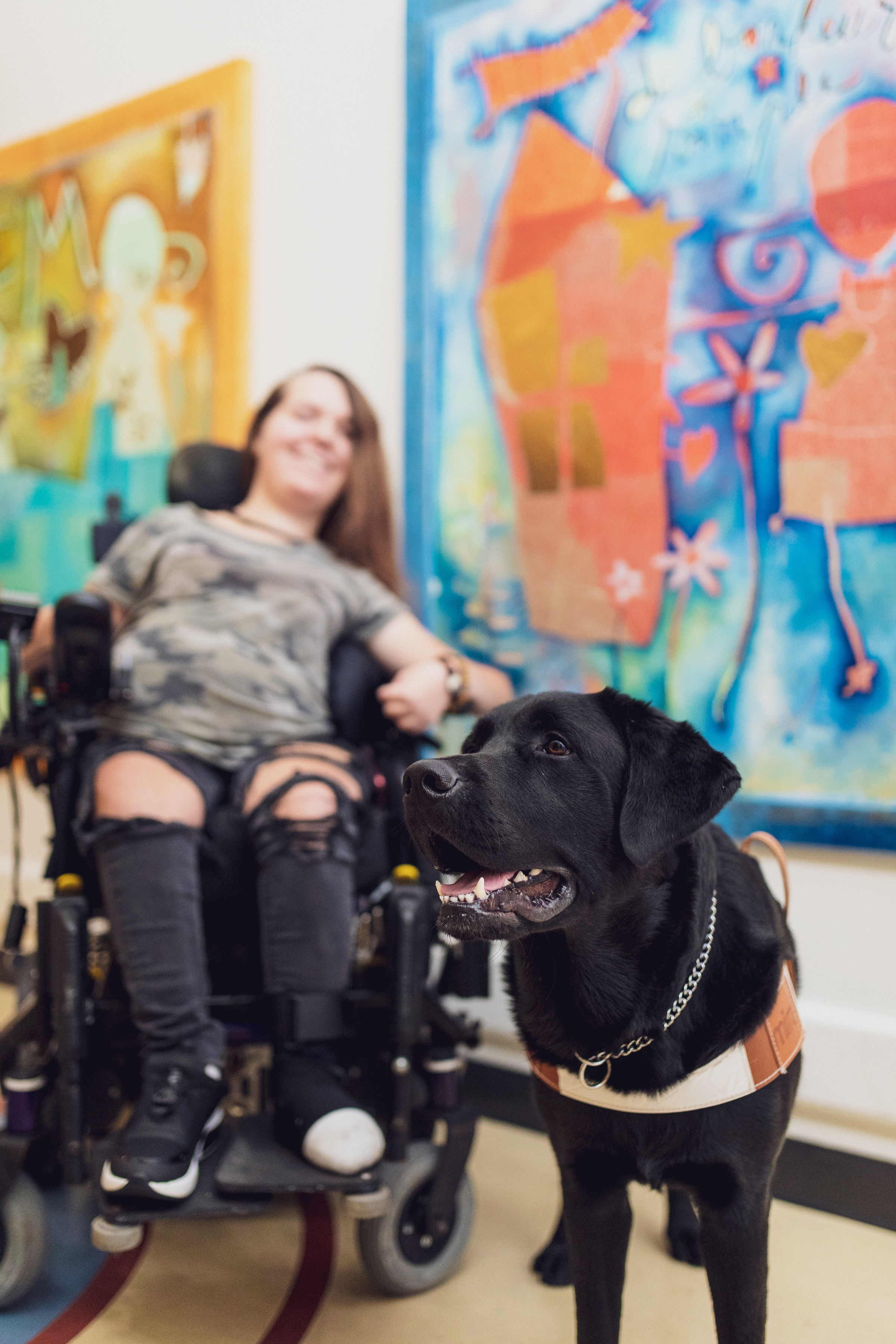 Benelux chien enfants malades soins palliatifs
