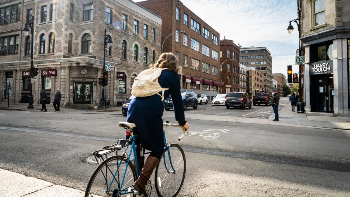 Réouverture avenue des Pins