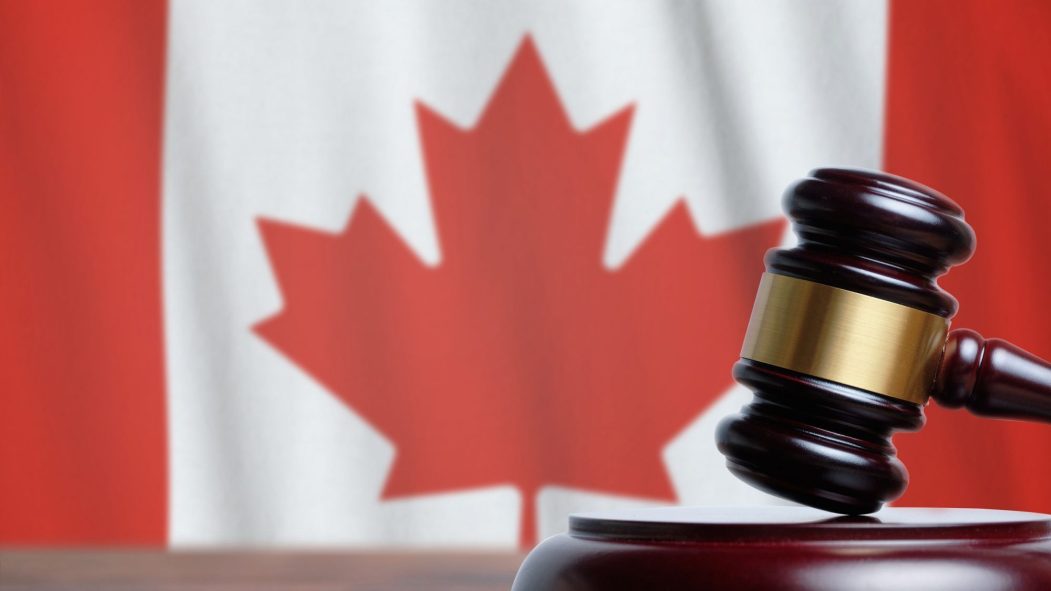 Victoire juridique pour la rainette faux-grillon du Québec