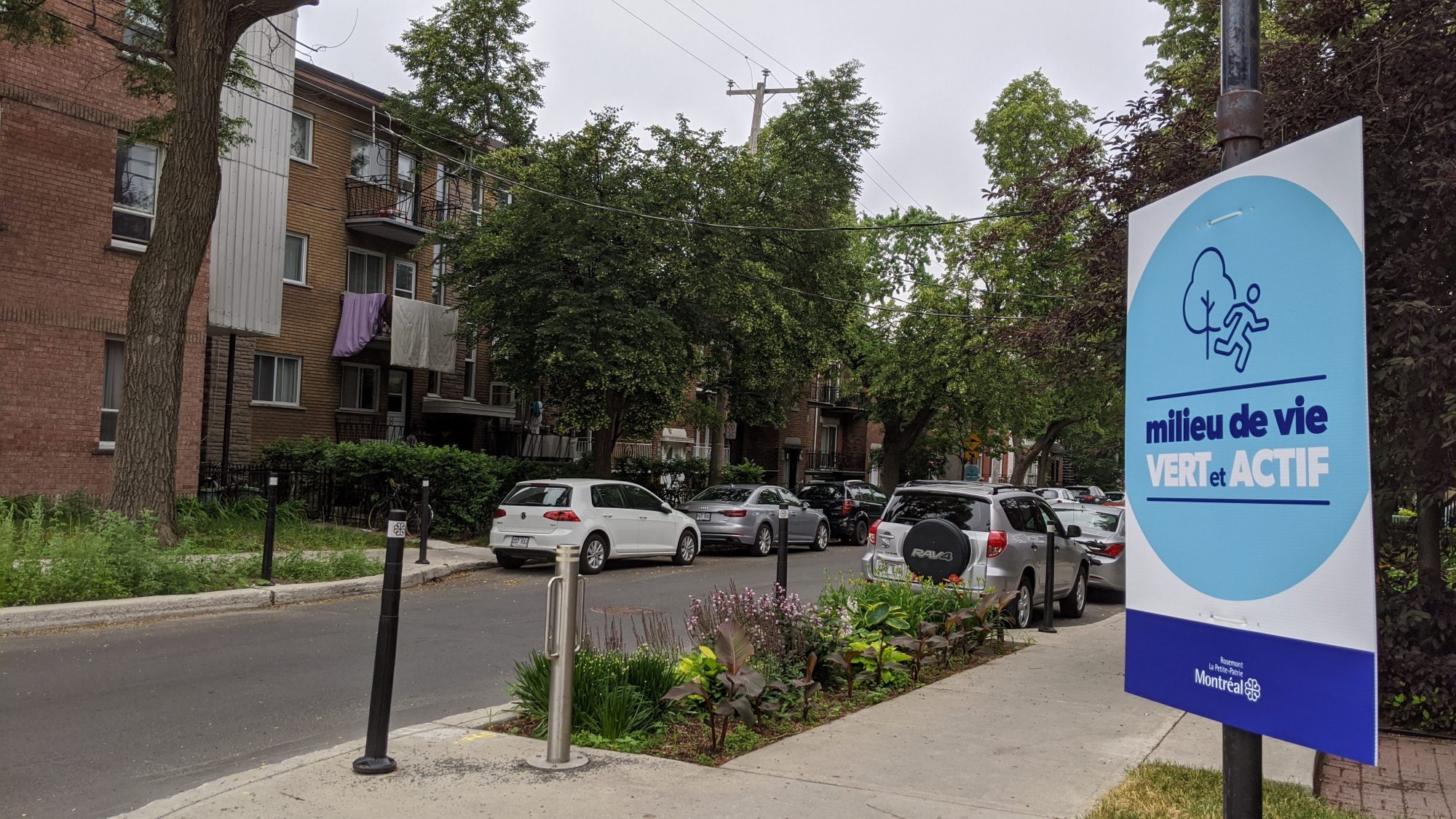 milieux ce vie verts et actifs