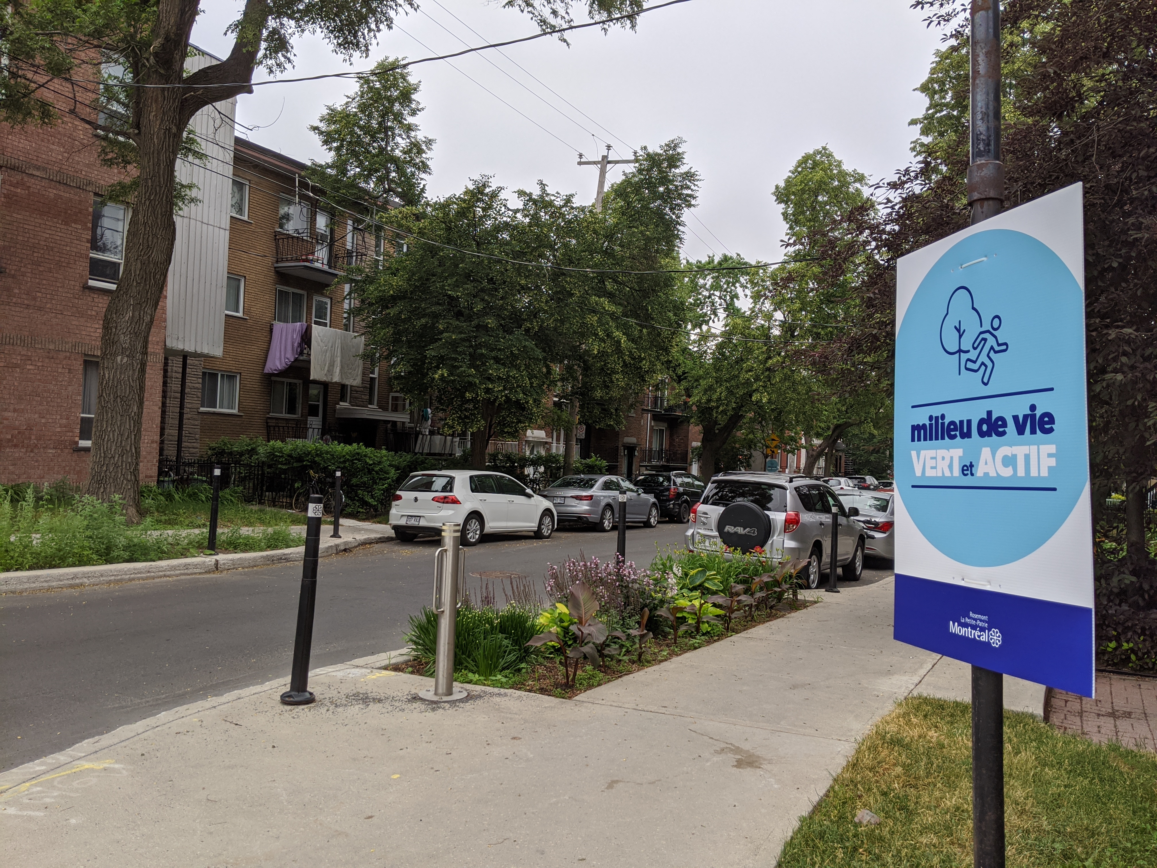 milieux ce vie verts et actifs