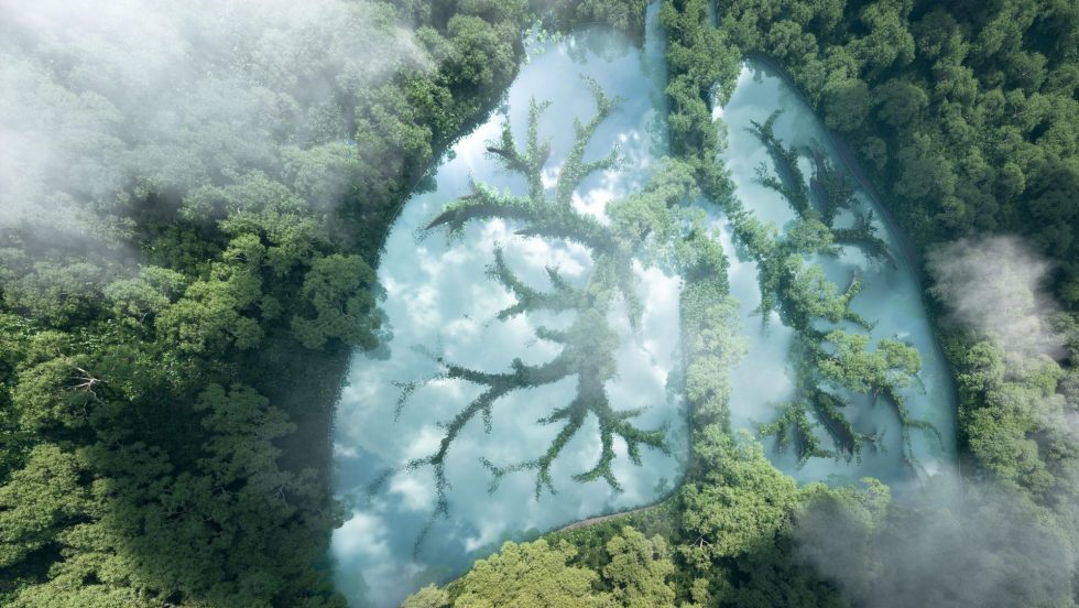 Environnement: meilleur climat, meilleure santé