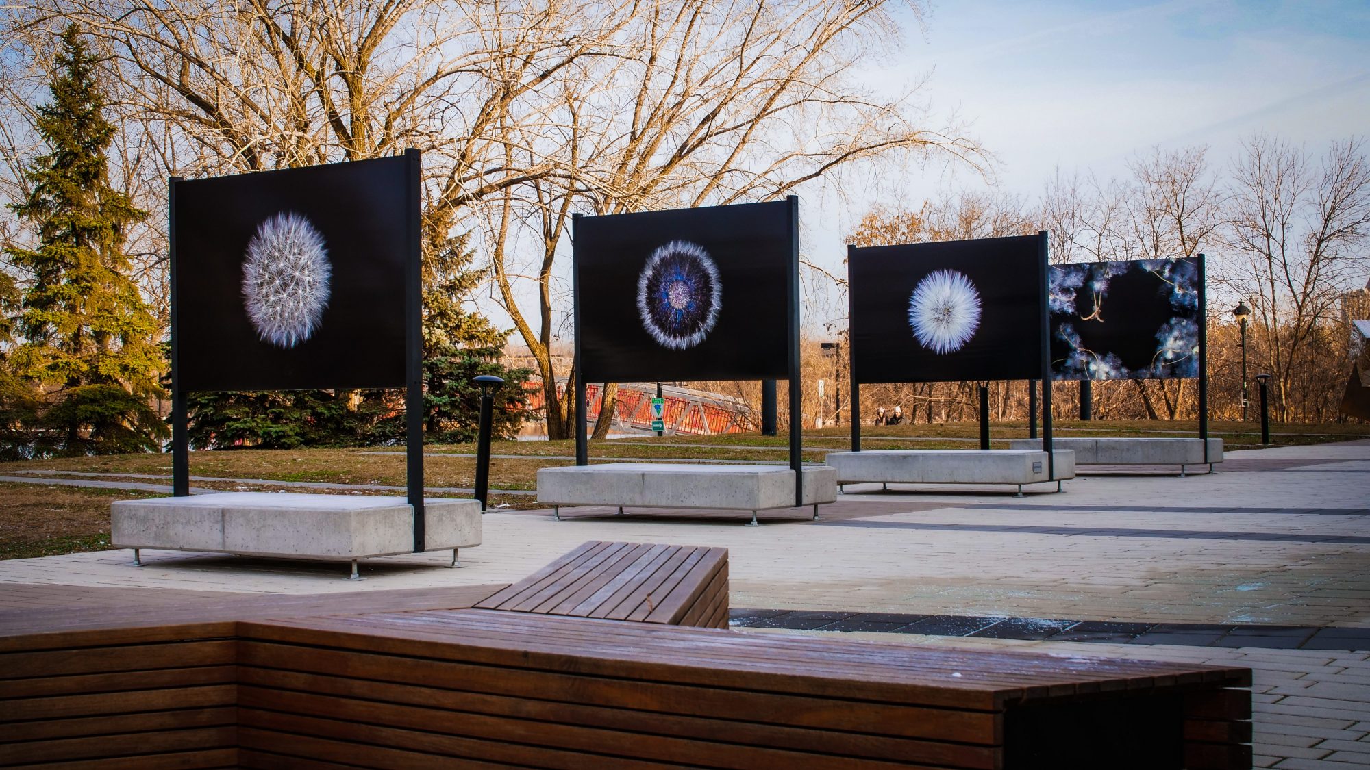 La Maison de la culture de Verdun s’adapte en offrant quatre expositions extérieures gratuites.