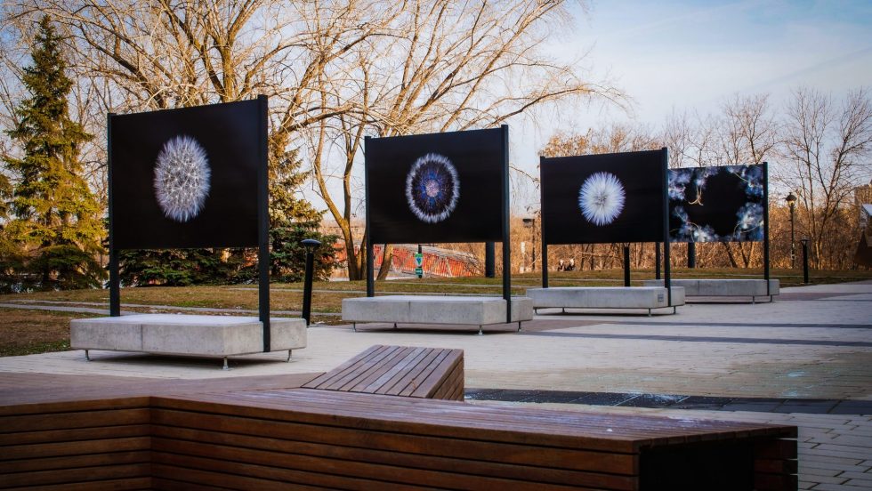 La Maison de la culture de Verdun s’adapte en offrant quatre expositions extérieures gratuites.