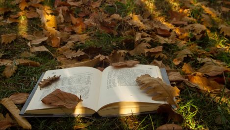 Lutter contre le réchauffement climatique par la littérature