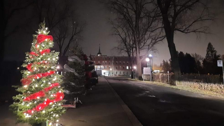Un sapin sur cinq est illuminé.