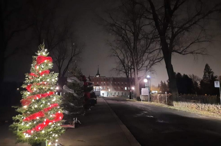 Un sapin sur cinq est illuminé.
