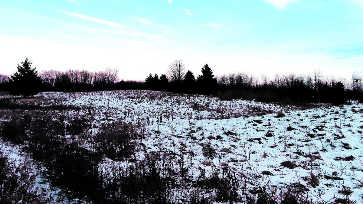 Quel avenir pour les derniers milieux humides ?