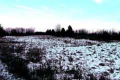 Moratoire demandé sur l&rsquo;utilisation de l&rsquo;insecticide Bti