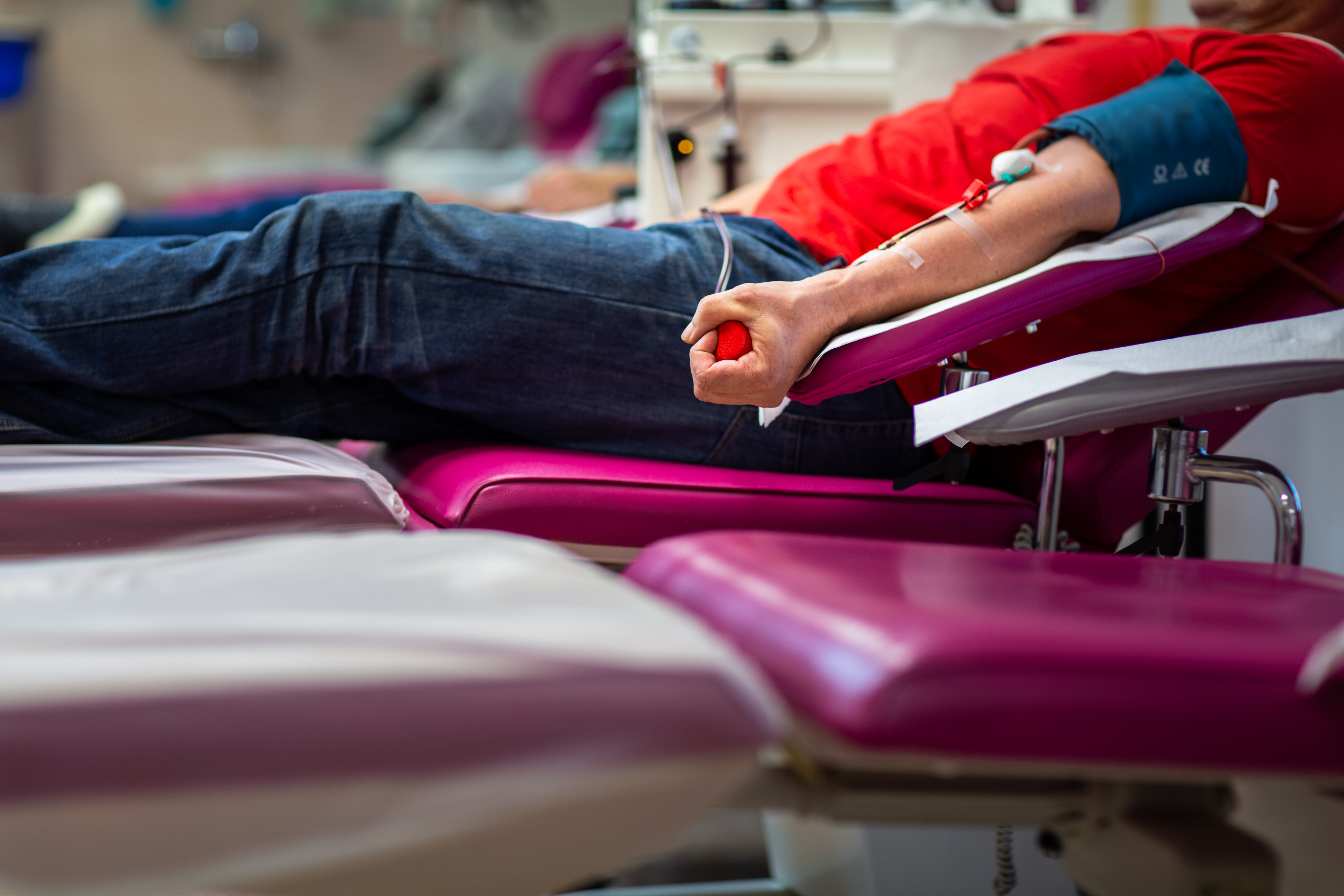 plasma sang transfusion