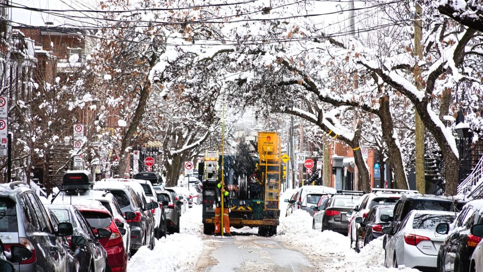 branches cassées tempête