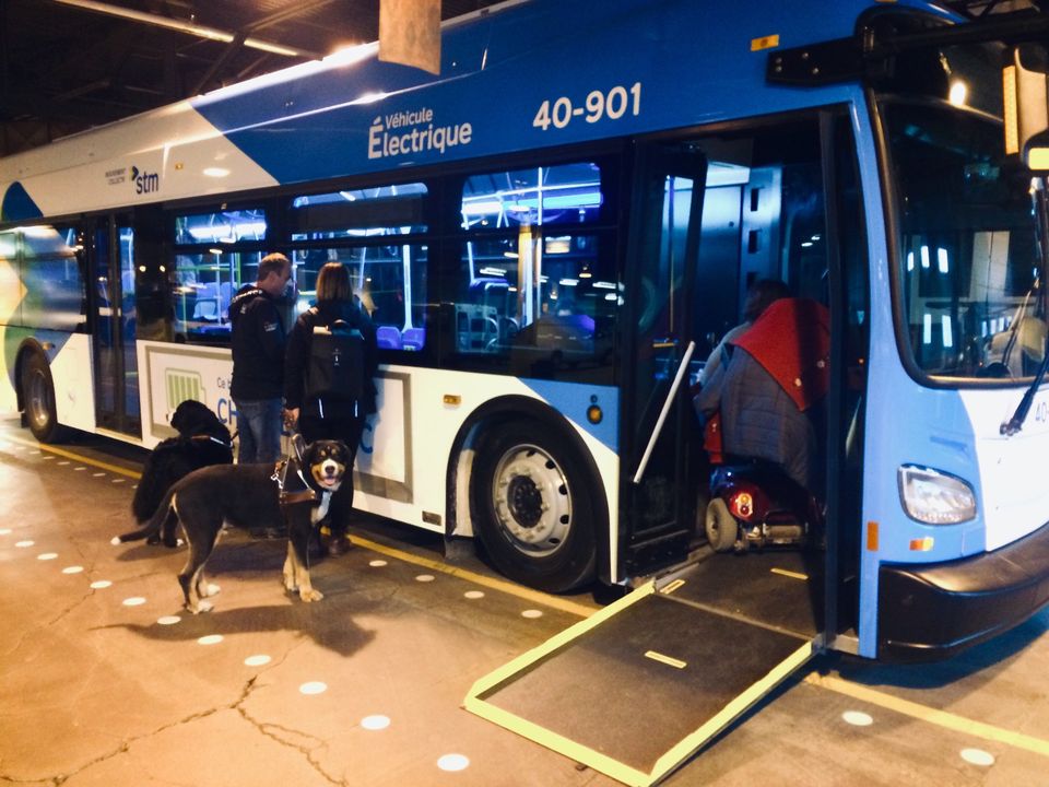 Autobus adapté aux personnes à mobilité réduite