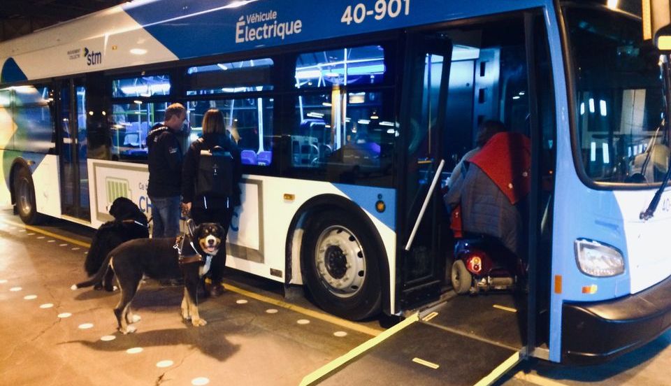 Autobus adapté aux personnes à mobilité réduite