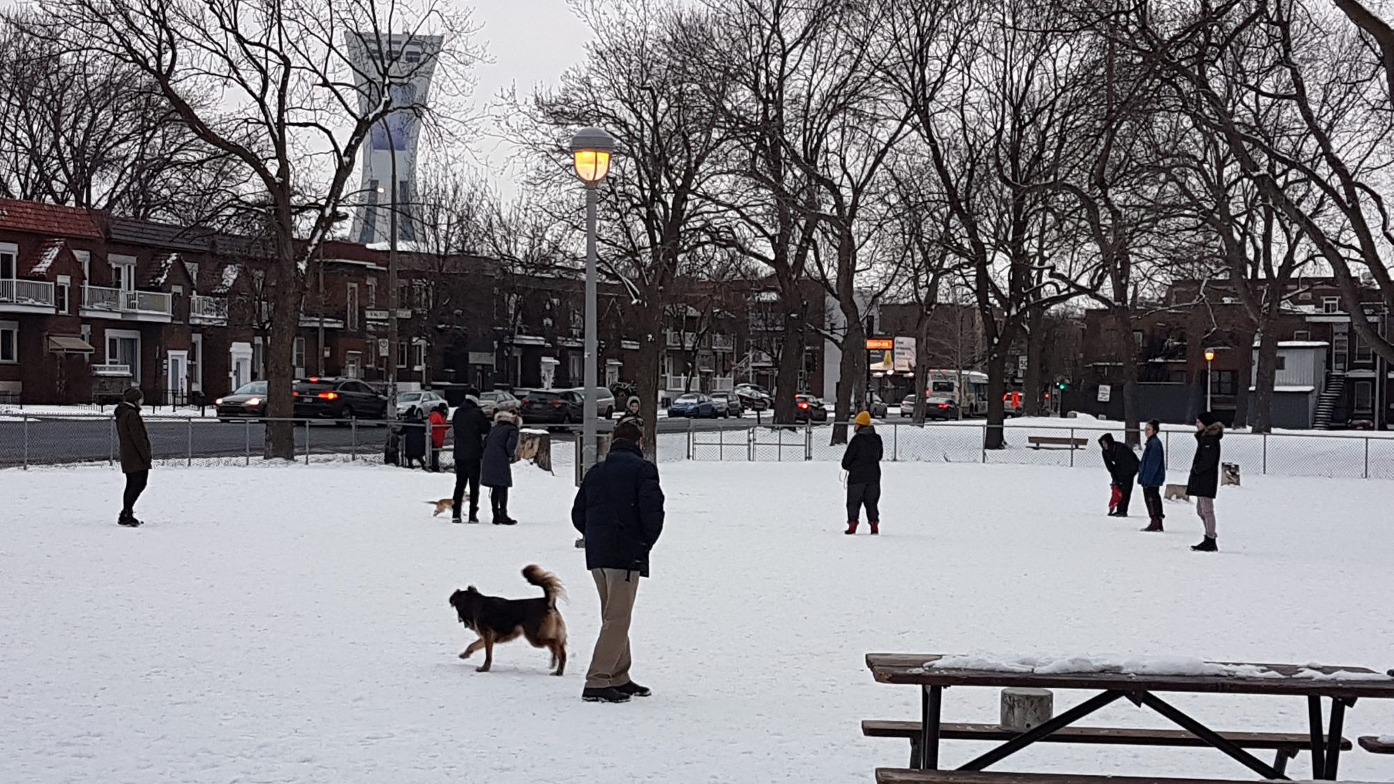 Photo prise dans le parc Lalancette.