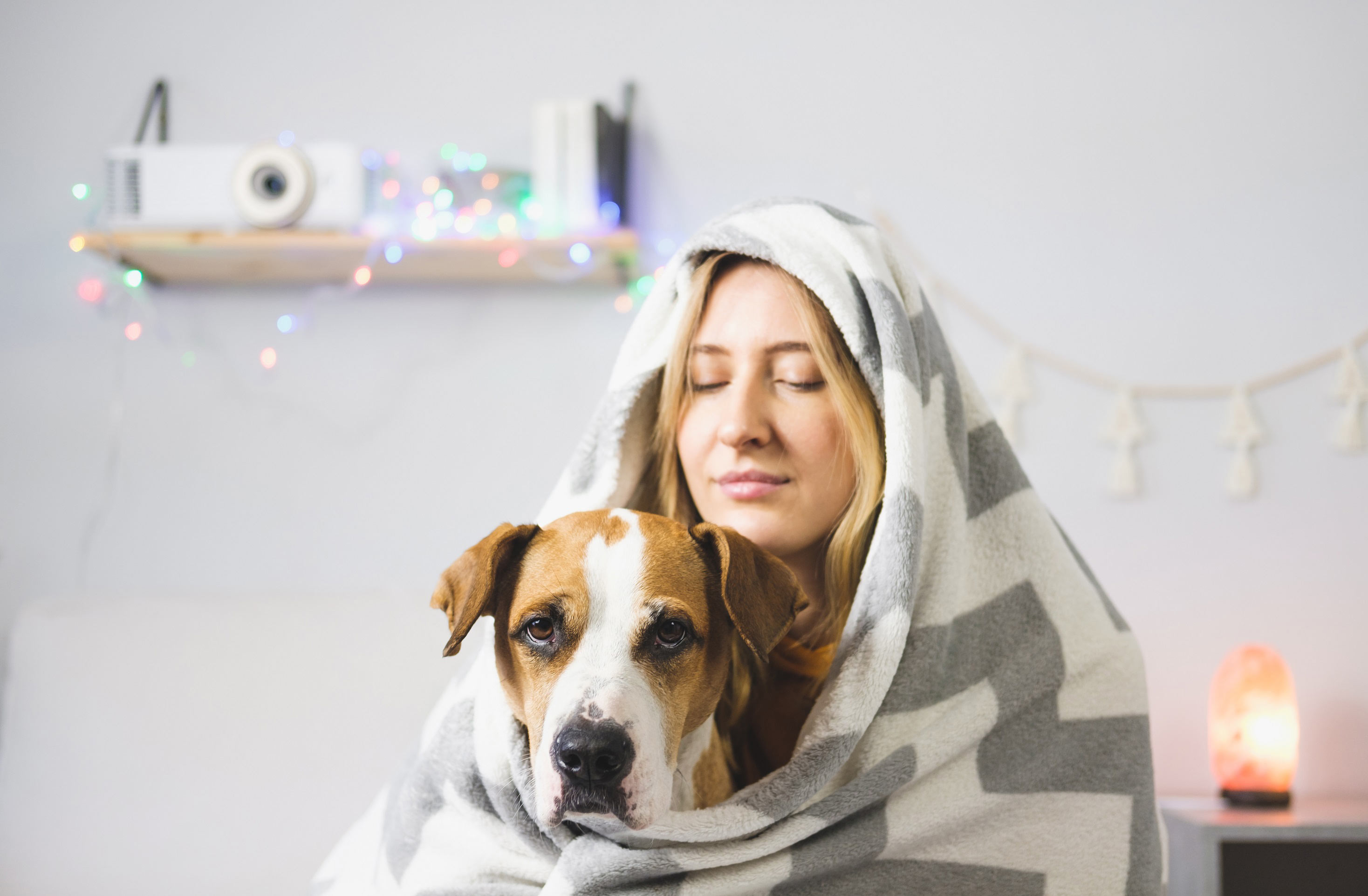 Jeune femme et son chien tout deux emmitouflés dans une couverture