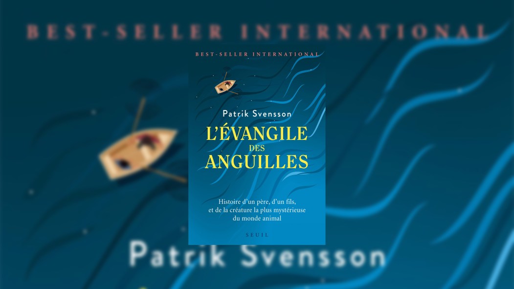 L’improbable best-seller «L’Evangile des anguilles», ou la mondialisation du livre