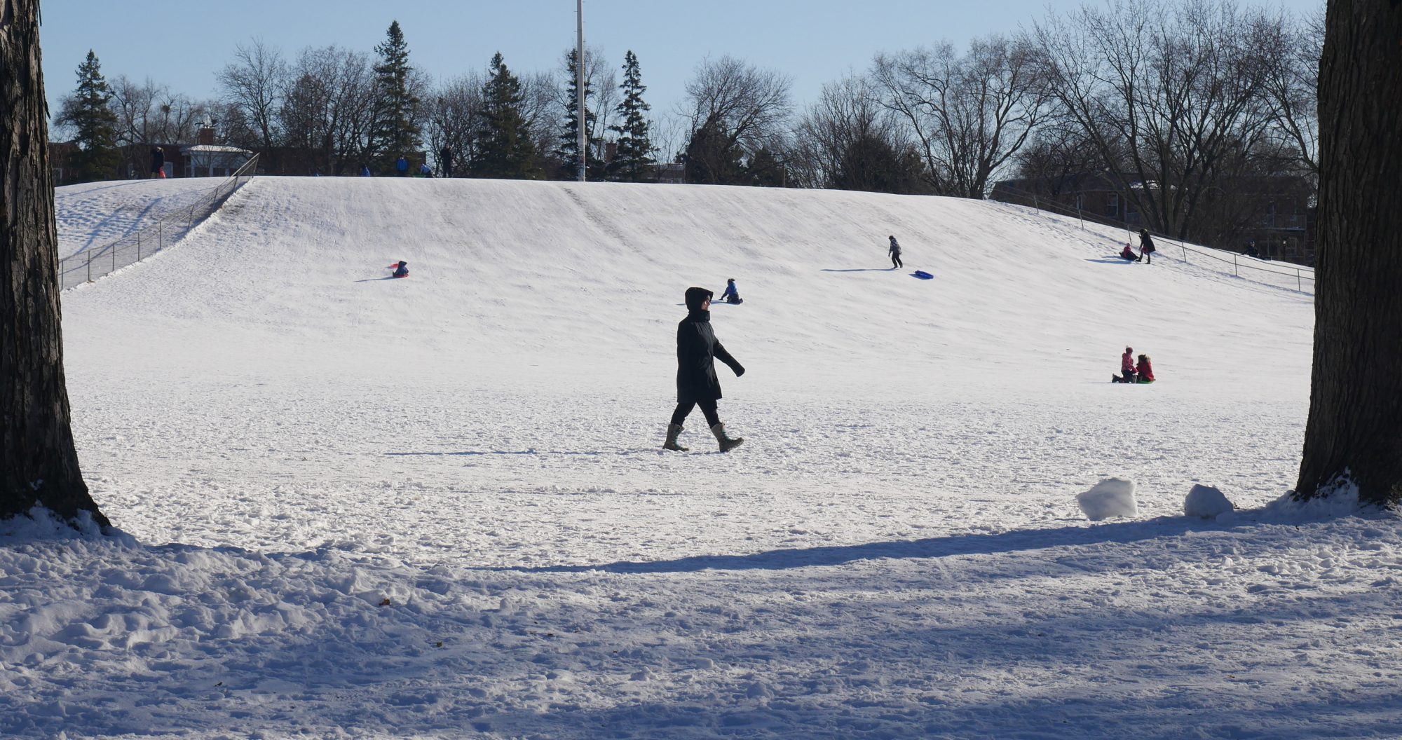 Marche au parc Ahuntsic