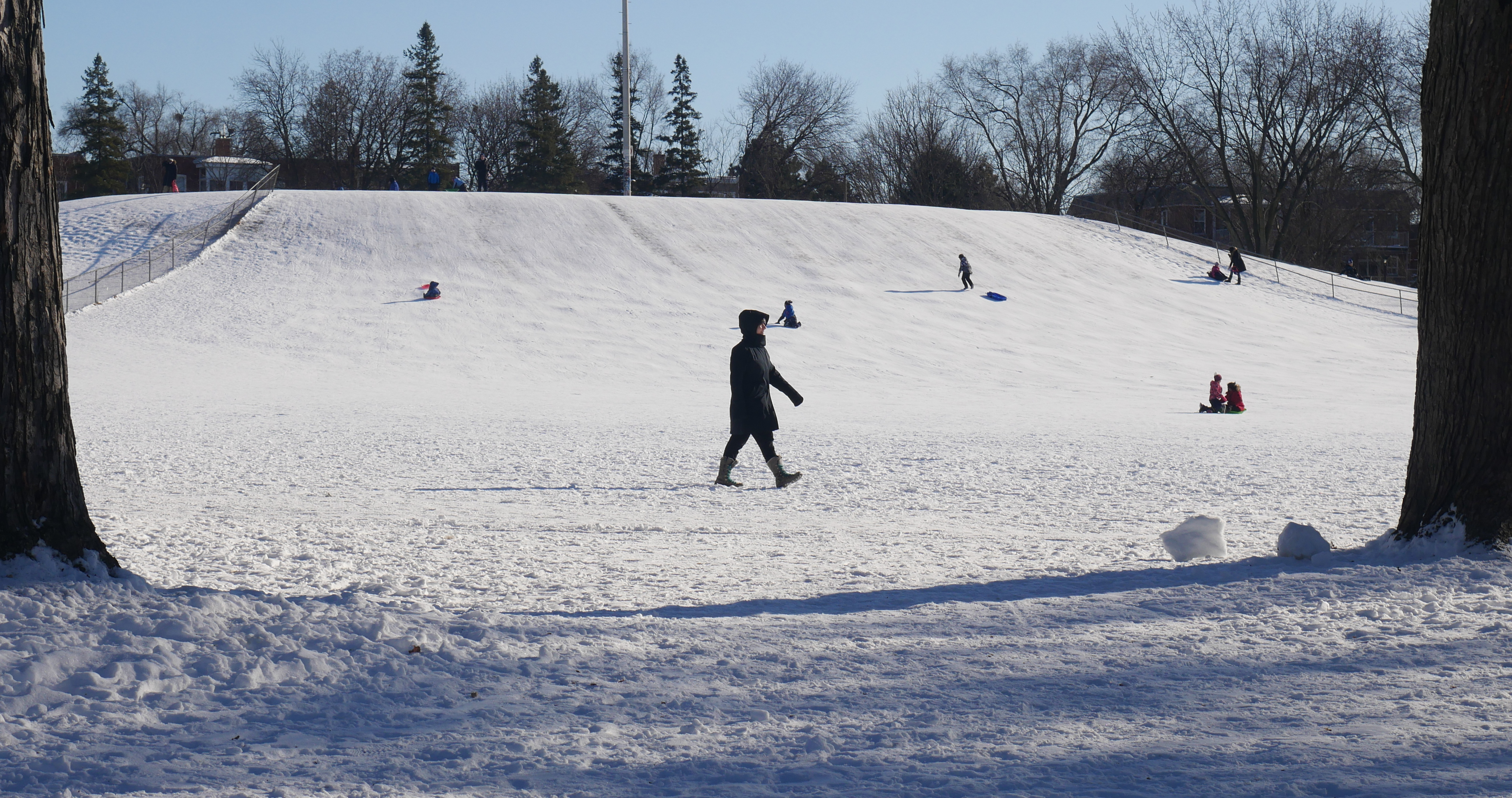 Marche au parc Ahuntsic