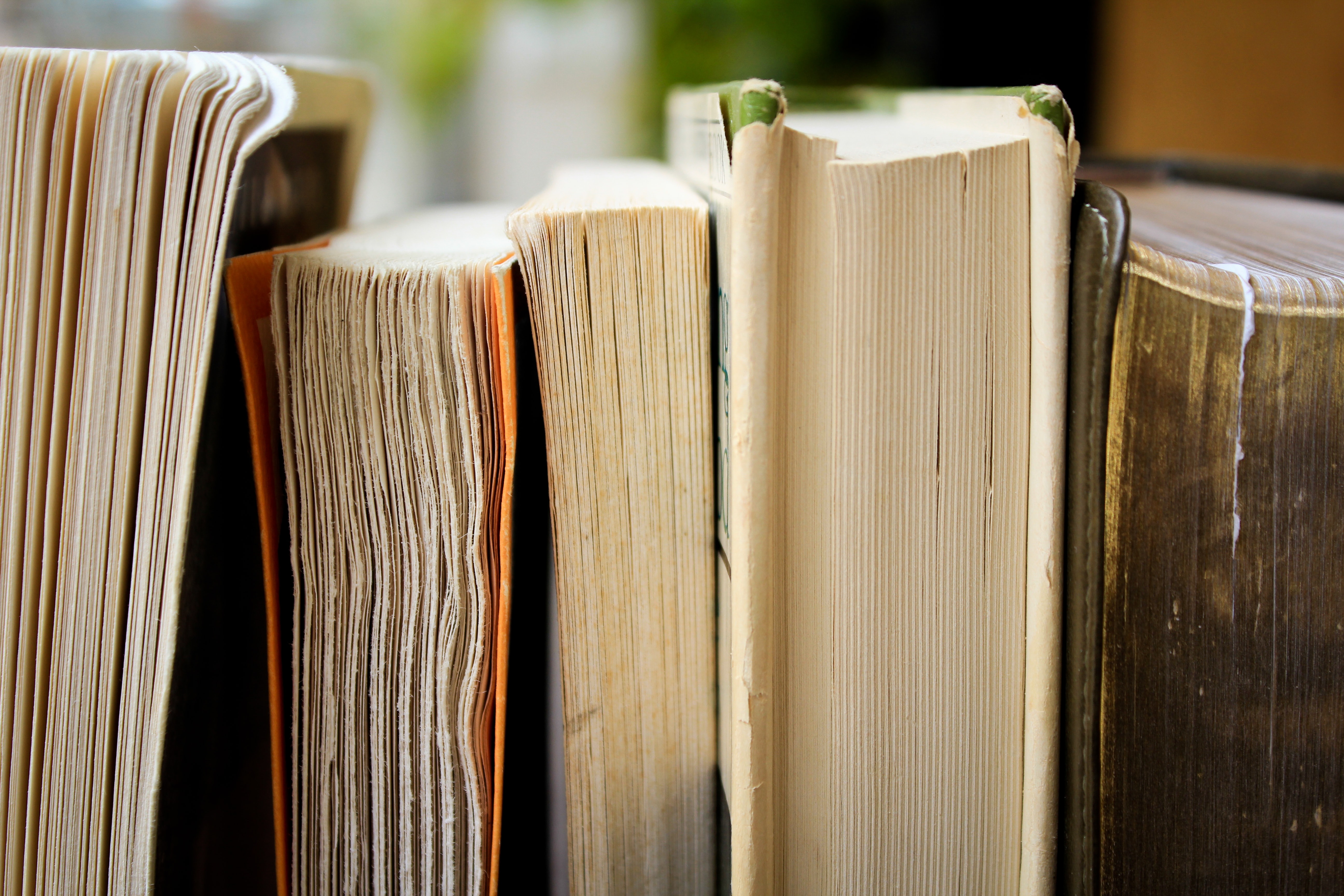 Les premières éditions, ces livres qui affolent les enchères