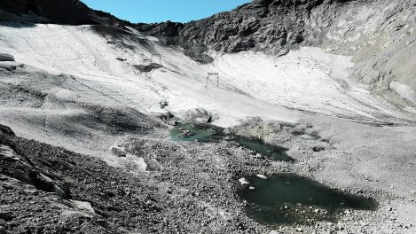 Comment survivre à la décennie la plus chaude de tous les temps ?