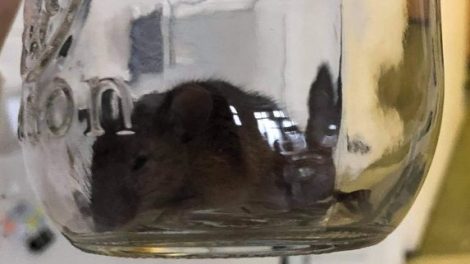 CSSDM: les enseignants et éducateurs spécialisés dénoncent leur dure réalité