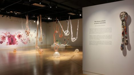 L’exposition «Mes beaux enfants et autres anomalies».