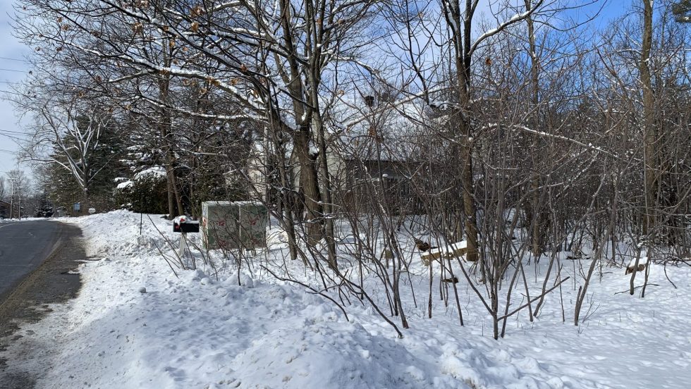 Le boisé en question se situe derrière les habitations du boulevard Perrot entre la 63e et la 68e avenue.