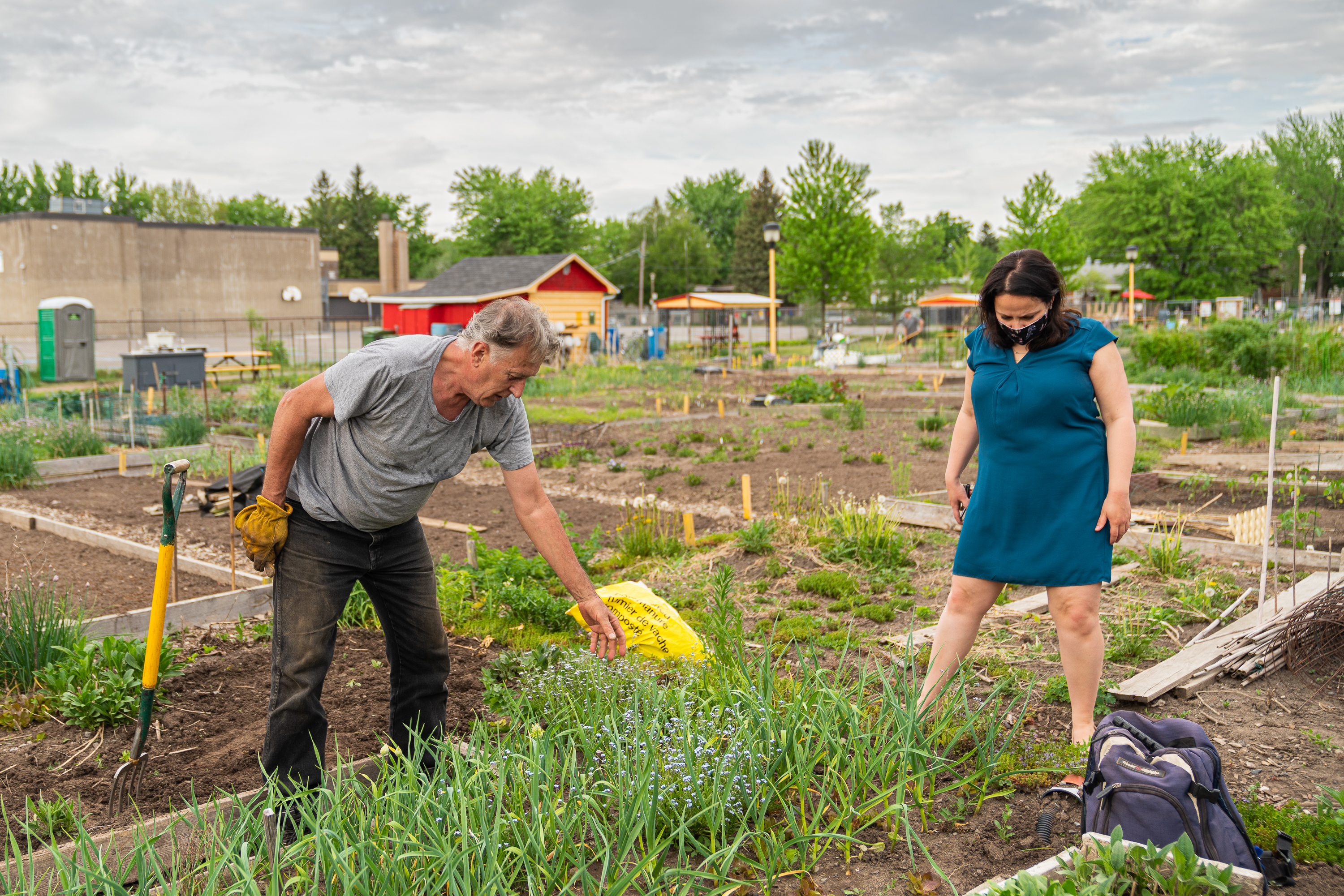 agriculture urbaine.